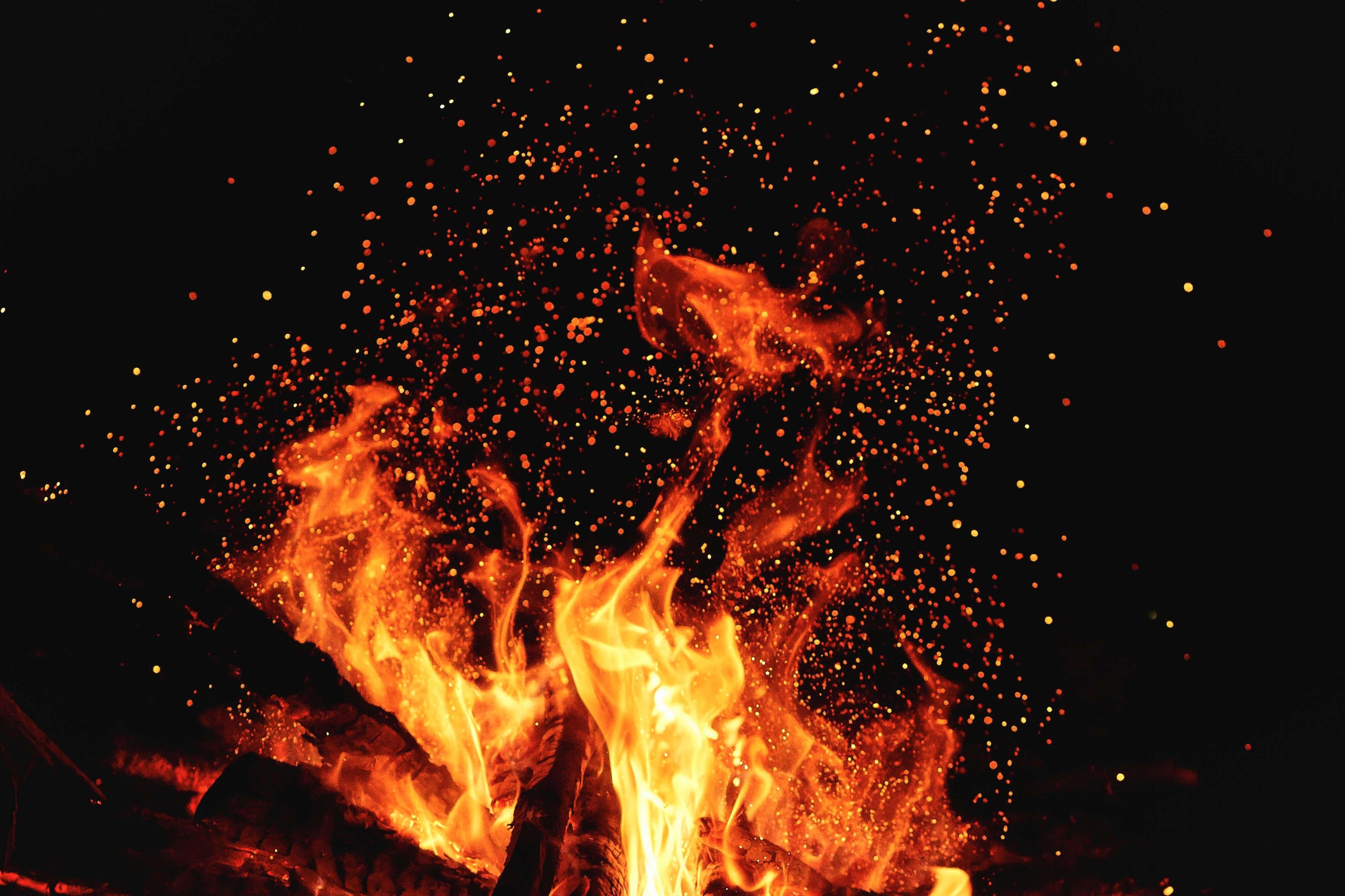 Pefume/Fragrance/Cologne