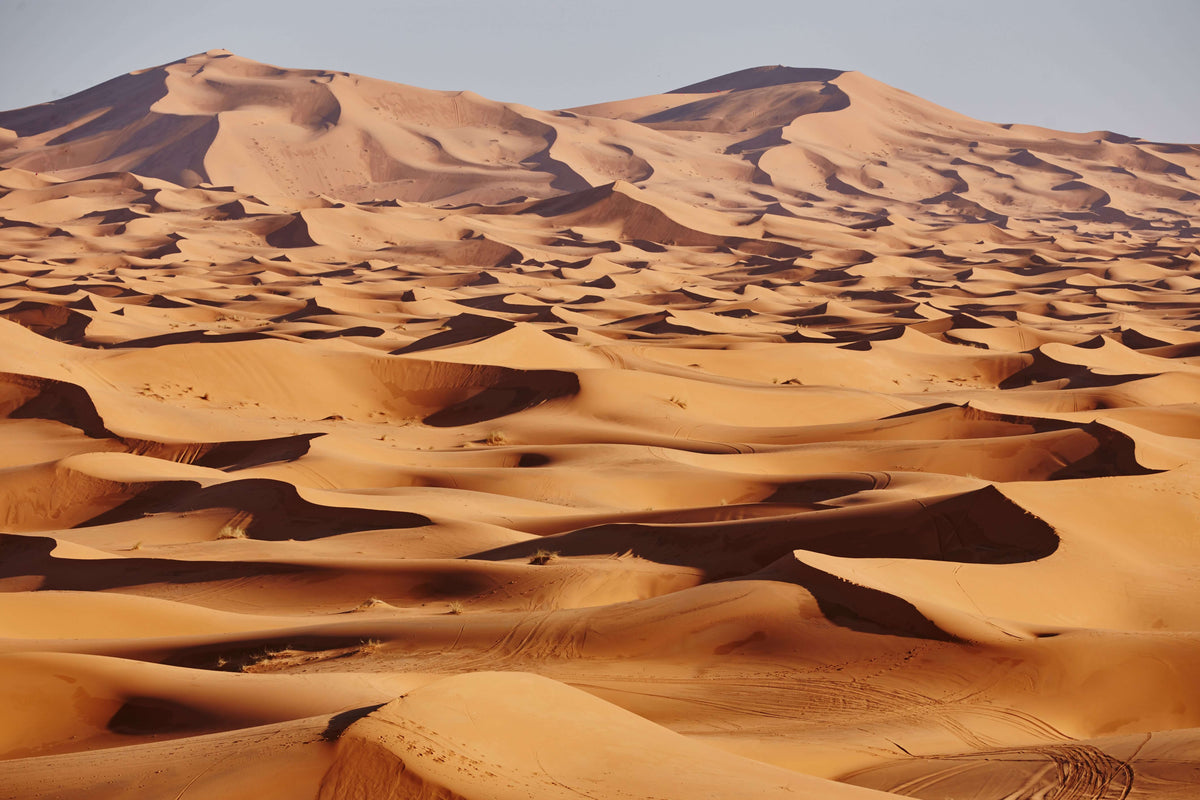 Pefume/Fragrance/Cologne